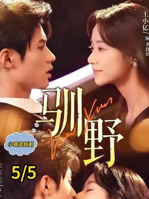 双面档案 悬疑电视剧全集在线观看